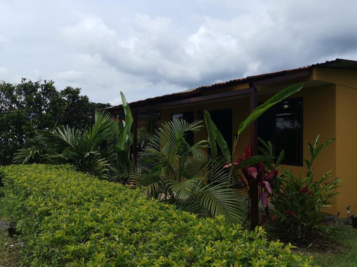 Dreamcatcher House Sarchi Luaran gambar